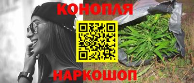 Альфа ПВП Ярославль