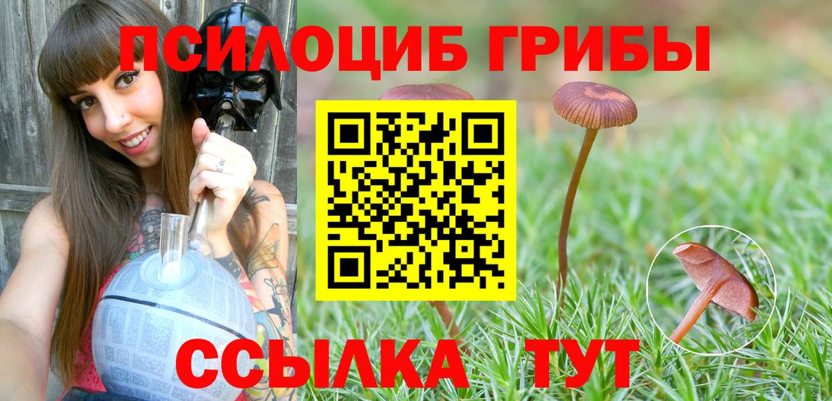 Галлюциногенные грибы Psilocybine cubensis Воткинск