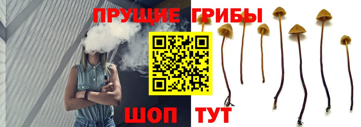 Псилоцибиновые грибы прущие грибы  Псилоцибиновые грибы Cubensis  Вход с VPN  Воткинск 